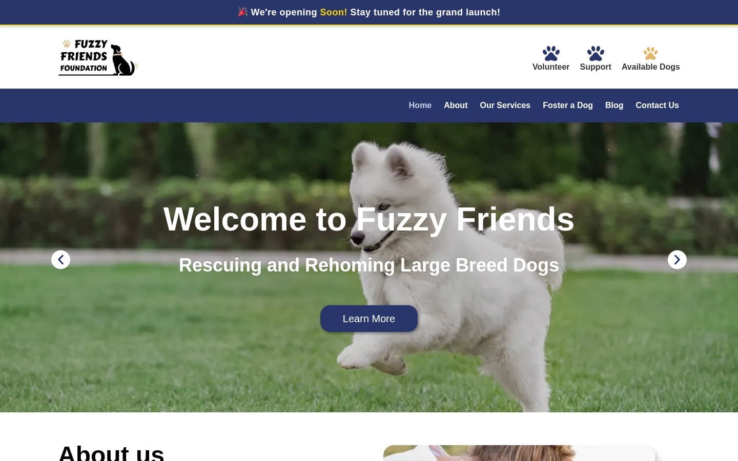 Fuzzy Friends Foundation website — desktop homepage