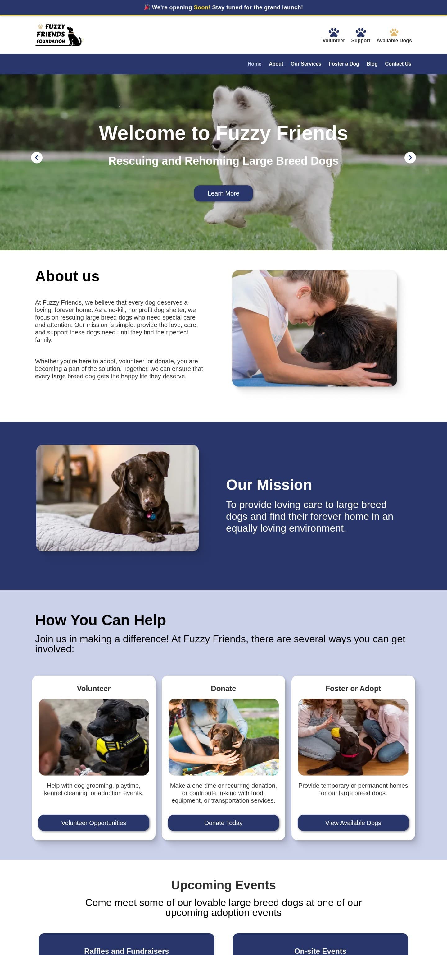 Fuzzy Friends Foundation homepage, full length
