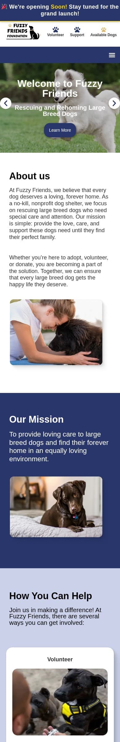 Fuzzy Friends Foundation homepage on mobile