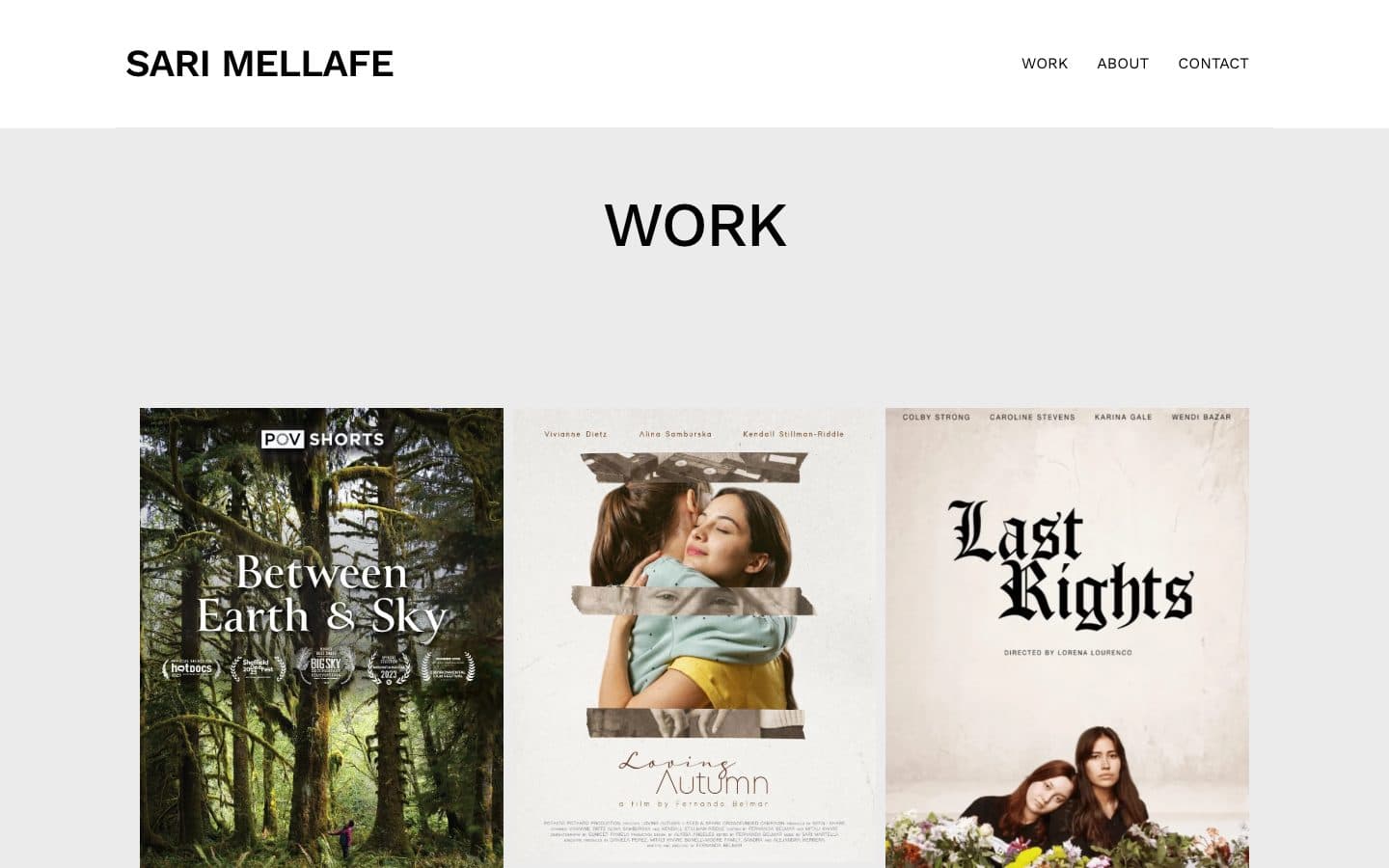 Sari Mellafe website — desktop homepage